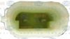 GM 9035969 Compressor, air conditioning